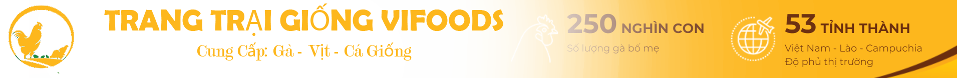 CÔNG TY TNHH PHÁT TRIỂN NÔNG NGHIỆP VIFOODS - Cung cấp các loại giống gia cầm, gà giống trên toàn quốc