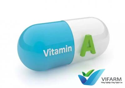 Các triệu chứng ở gà do thiếu vitamin