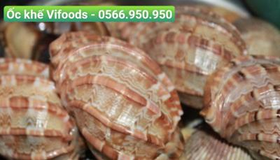 Cung cấp ốc khế giao tận nơi