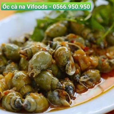 Cung cấp sỉ Ốc cà na giao tận nơi