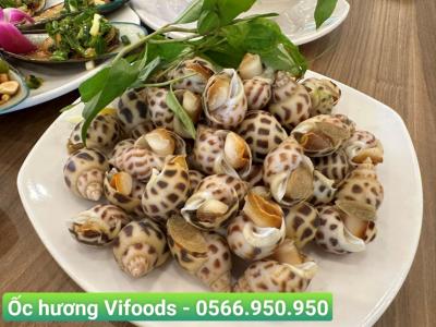 Cung cấp sỉ Ốc hương giao tận nơi