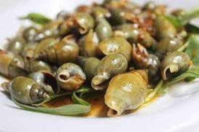 Giá Ốc Cà na bao nhiêu tiền 1Kg 2023? Mua bán ở đâu rẻ tươi ngon