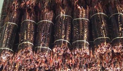 Tây Ninh: Lạ, nuôi vỗ béo con trăm chân, ông nông dân thu lời mỗi năm hàng trăm triệu đồng