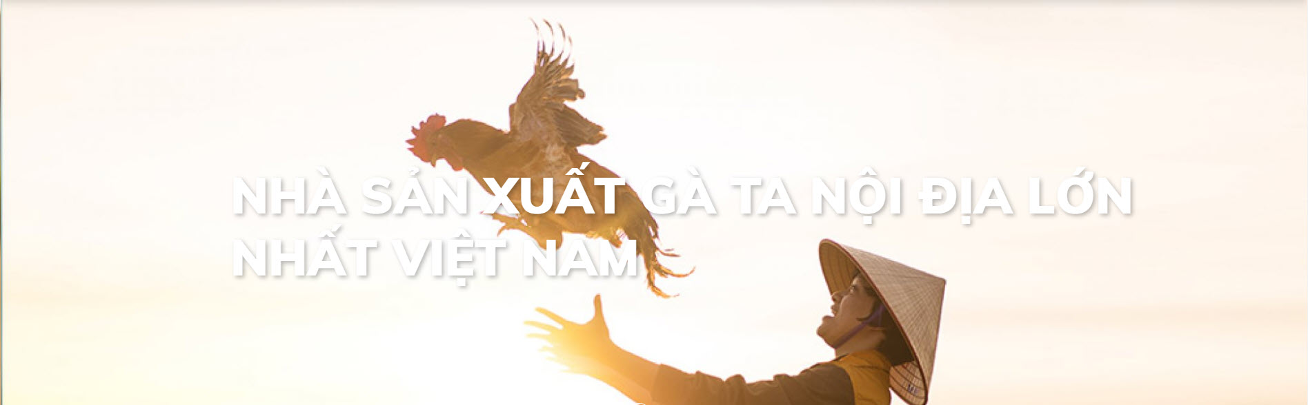 Trại Vịt Giống